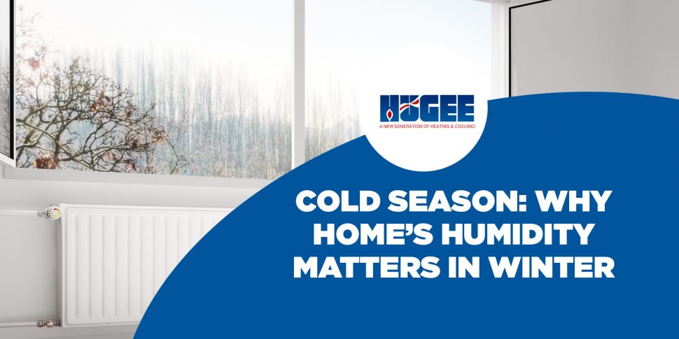 Cold Season: Why Home's Humidity Matters in Winter
